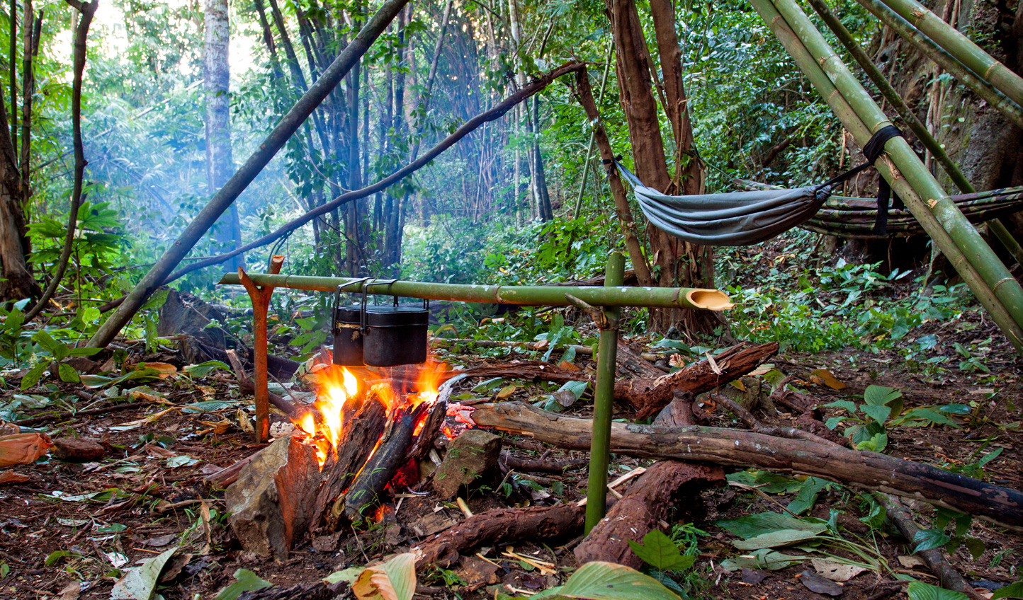 The Brazilian Amazon: Jungle Survival to Stylish Sailing