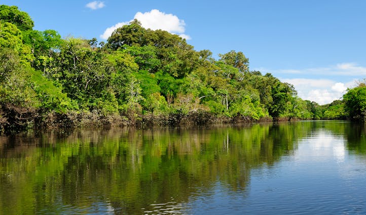 Amazon River Brazil