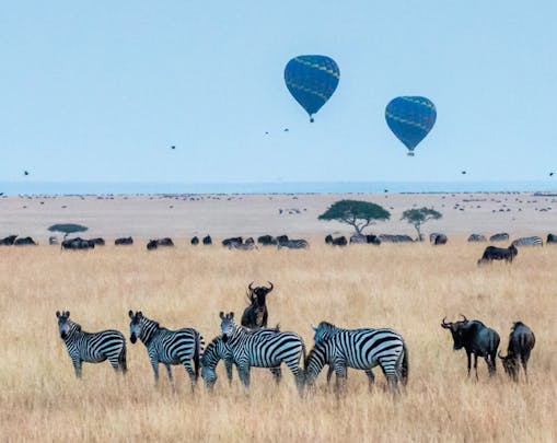 Hot-air balloon experience in Kenya