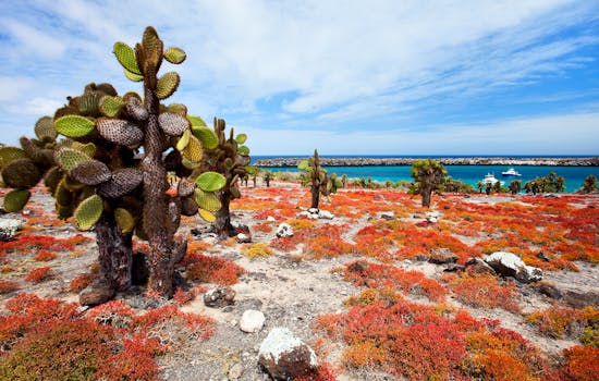 Luxury Hotels in the Galapagos