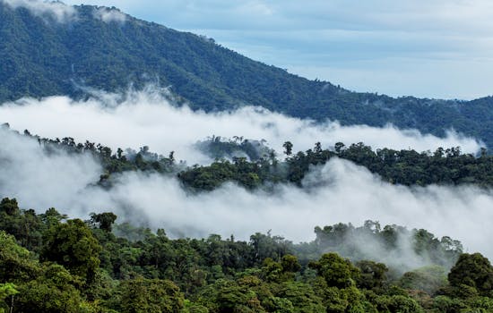 Luxury Hotels in Choco Cloud Forest