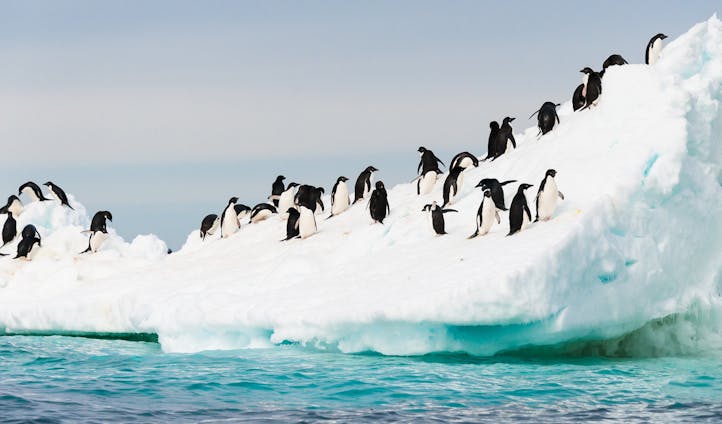 Luxury Holidays in Antarctica