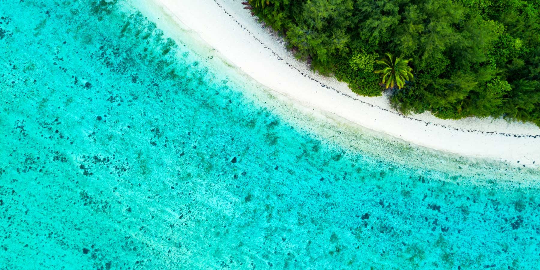 Explore the Cook Islands