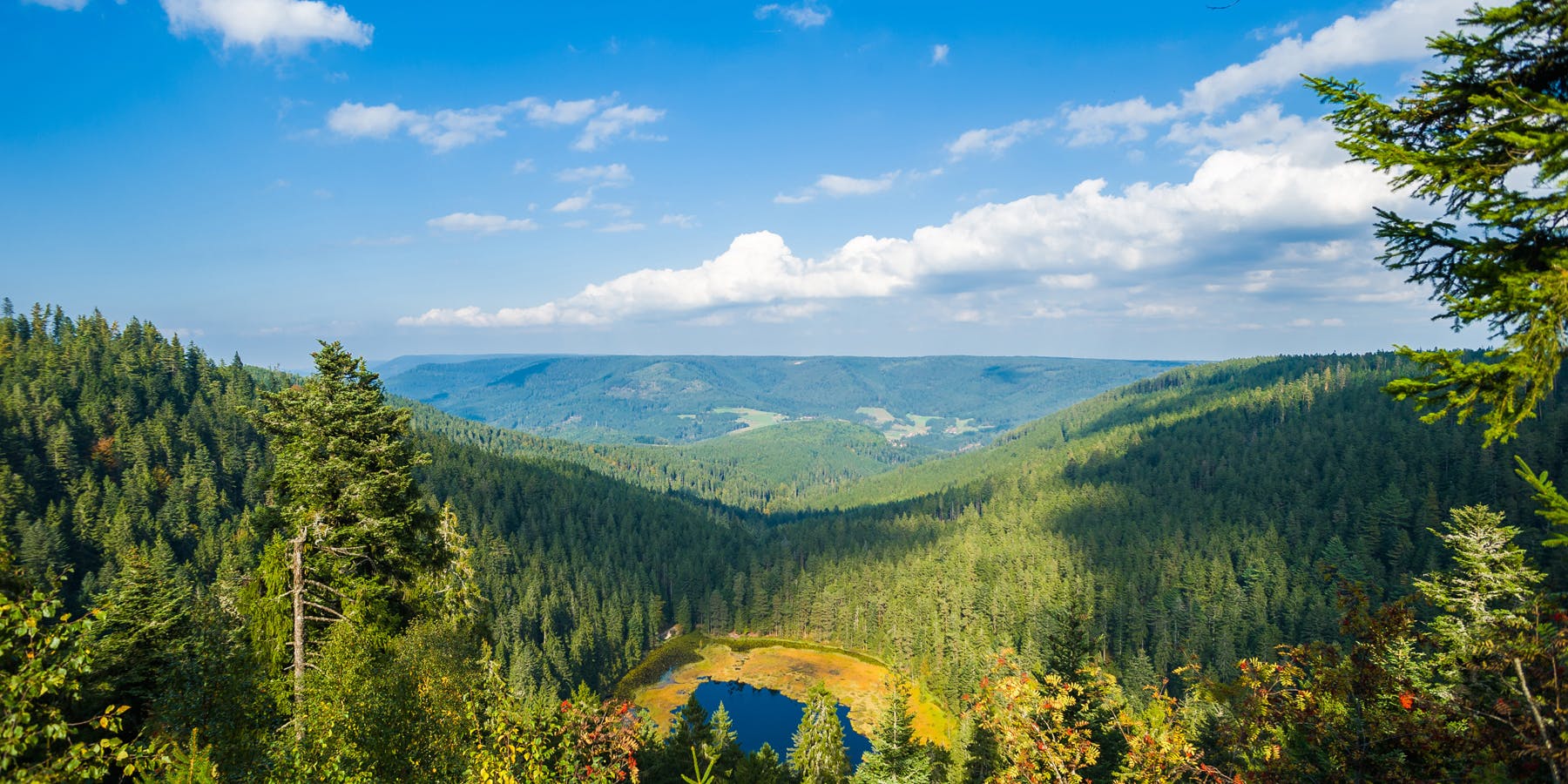 Luxury Holiday in the Black Forest