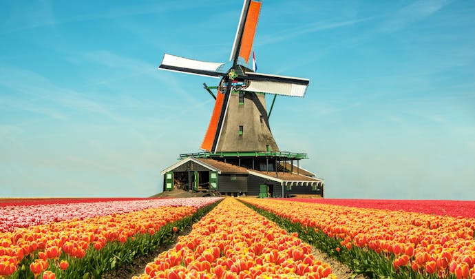 Luxury honeymoons in the Netherlands