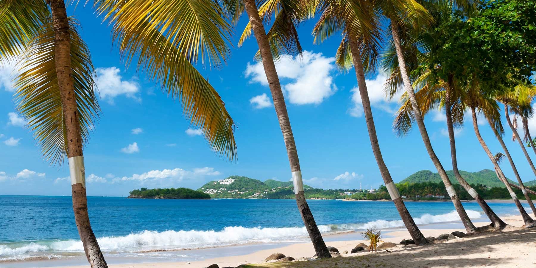 More about St Lucia