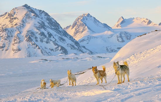 Best hotels in Greenland's wild