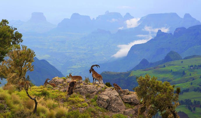 Hotels in the Simien Mountains