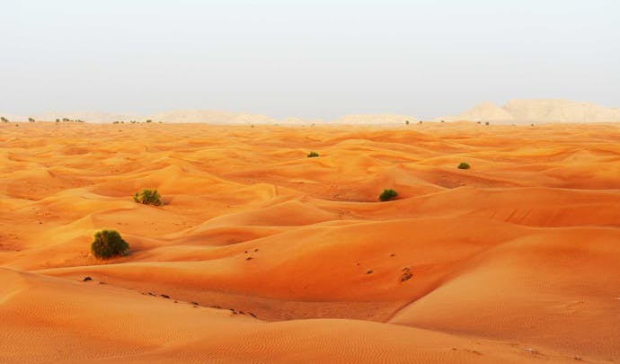 Private desert tours in UAE