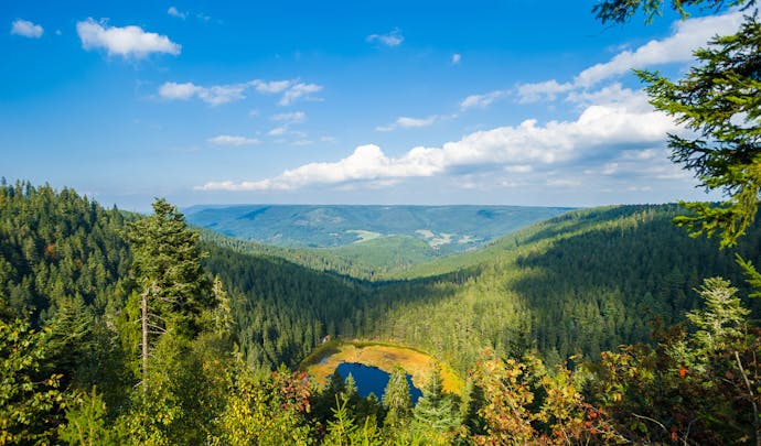 Luxury Holiday in the Black Forest