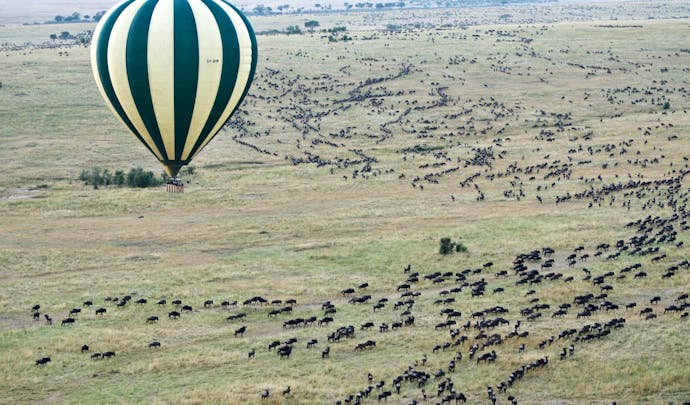 Great Migration from hot air balloon
