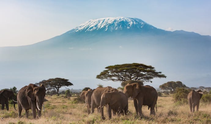 Kilimanjaro trek