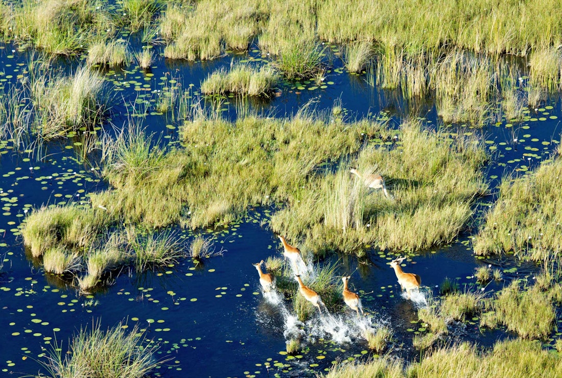 Exploring the Okavango Delta by helicopter
