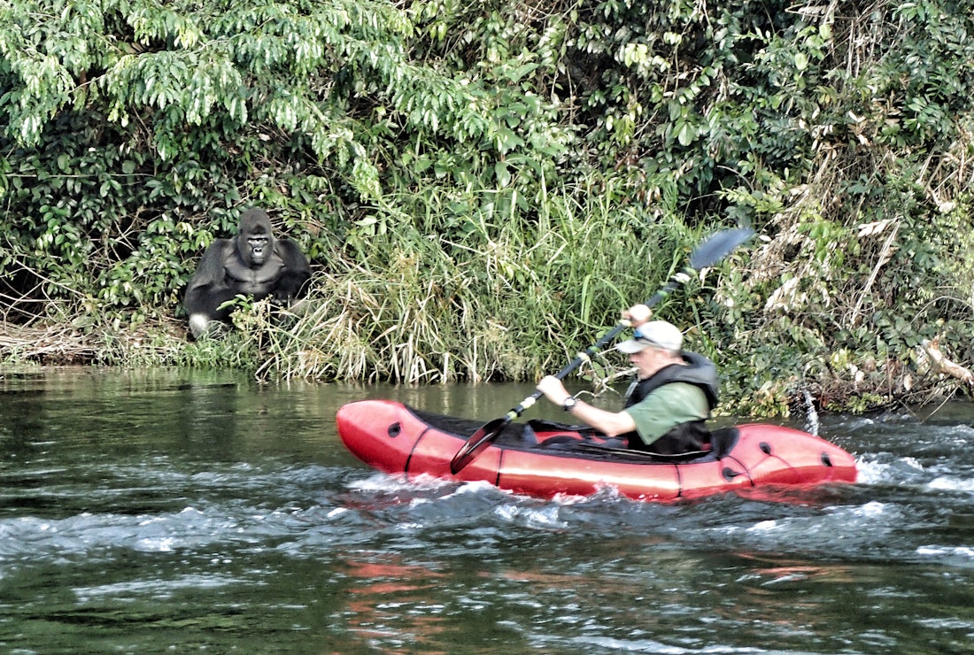 Congo rafting adventure