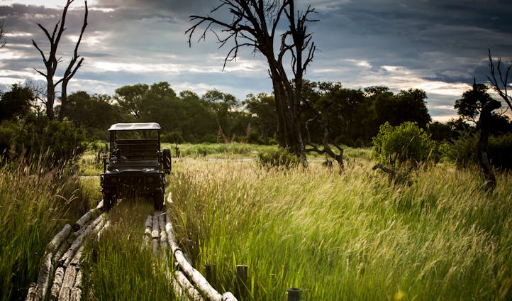 Best Safari Camps in Botswana