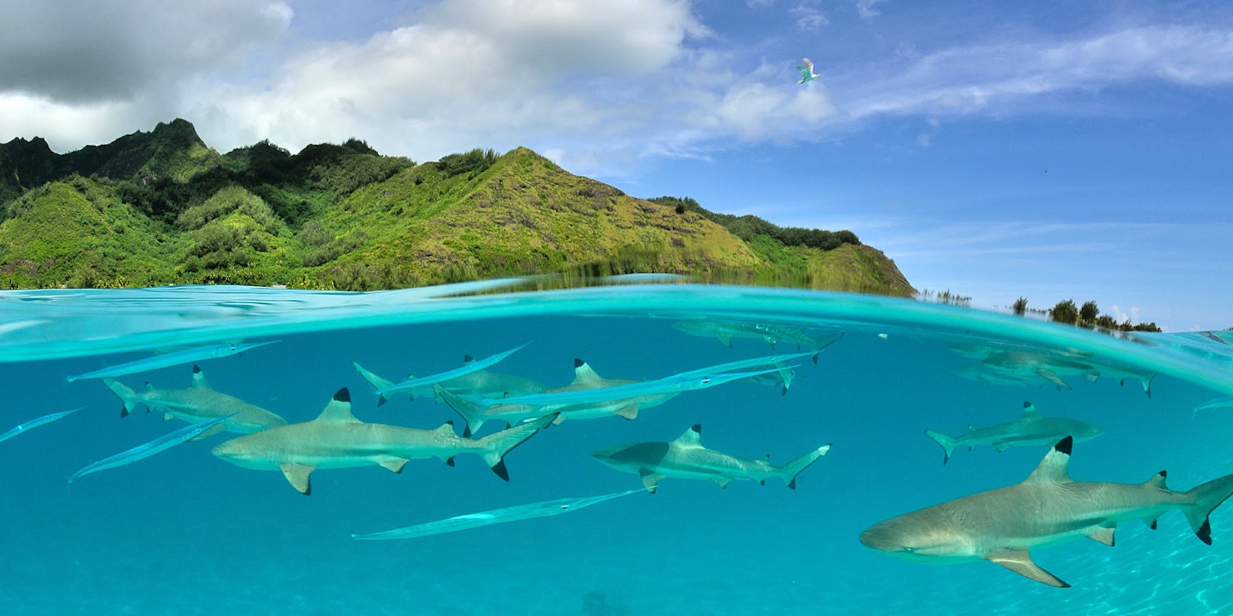 Luxury Holidays in French Polynesia