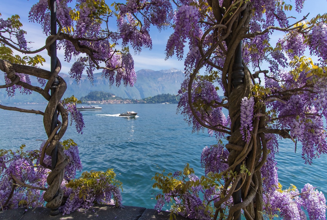 Lake Como boat tours