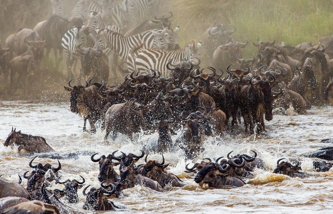 Great Migration, Kenya