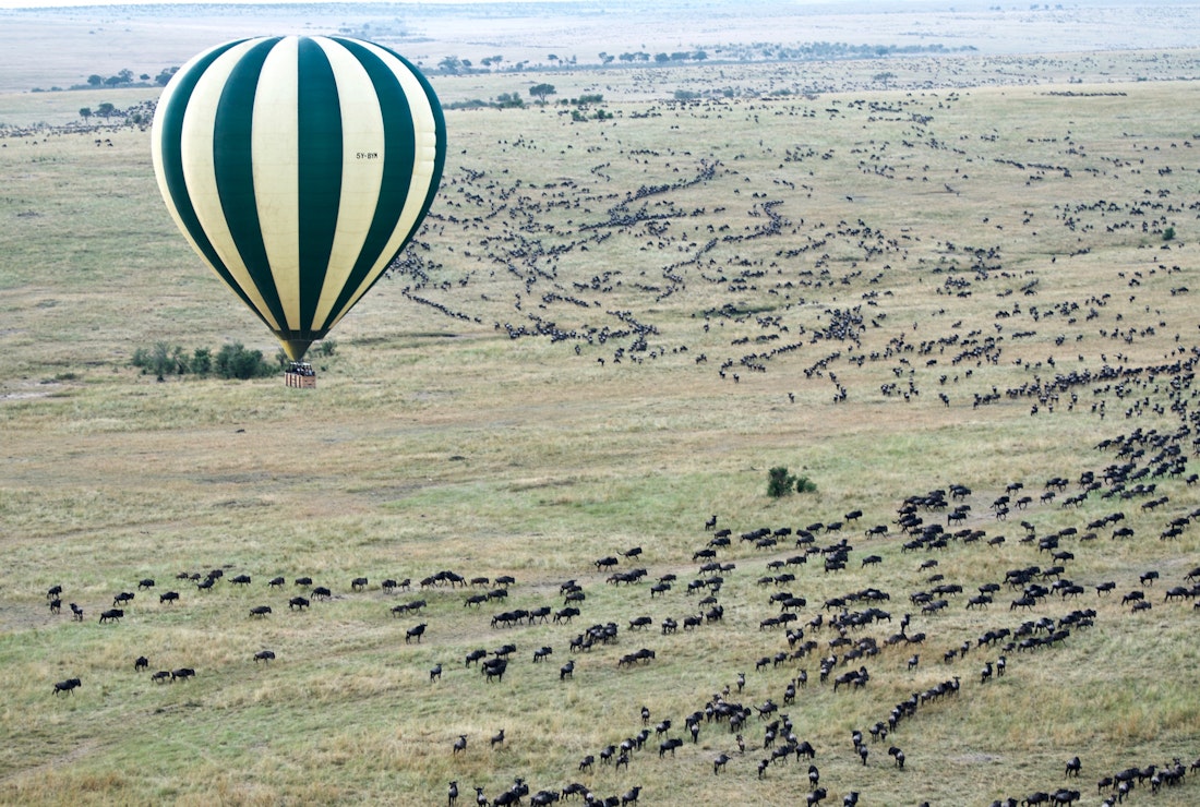 Great Migration from hot air balloon in Kenya