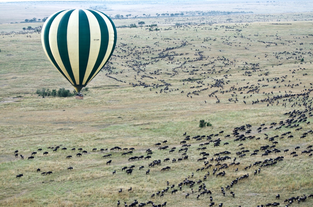 Great Migration from hot air balloon in Kenya