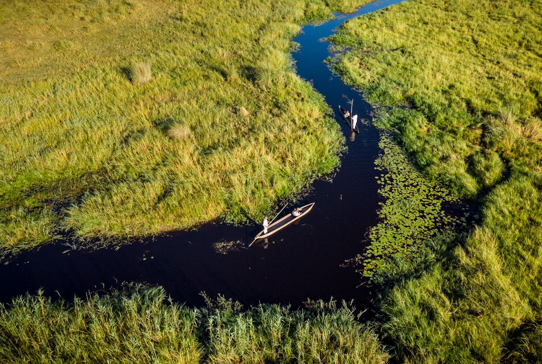 Mokoro safari in the Okavango Delta