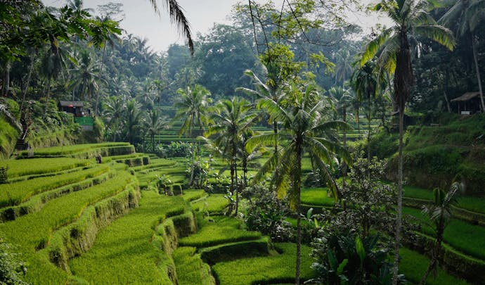 Bali in Indonesia