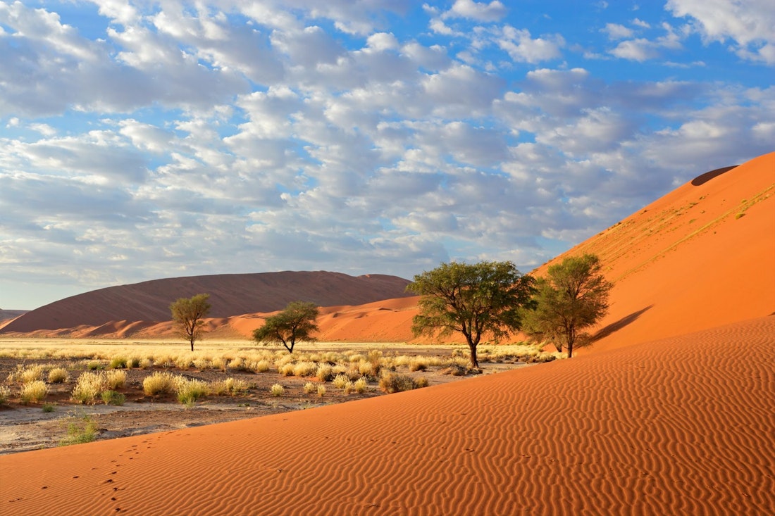 Namibia's landscapes