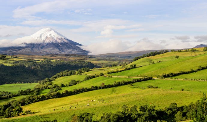 Cotopaxi Volcano in Ecuador