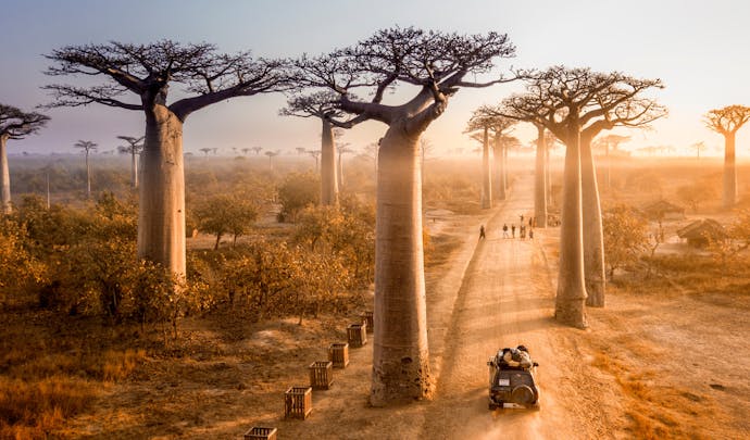 Luxury holidays to Madagascar