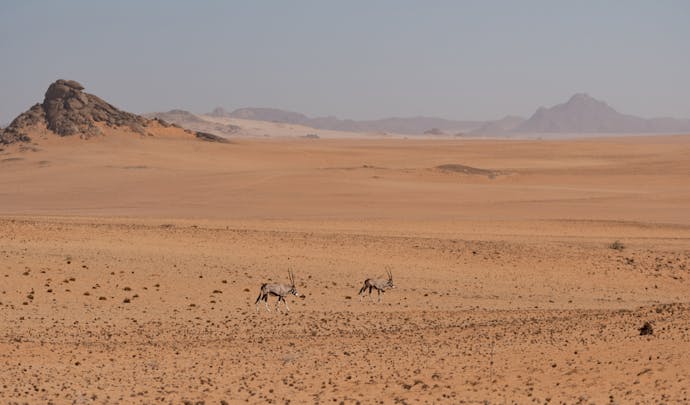 Hartmann Valley, Namibia