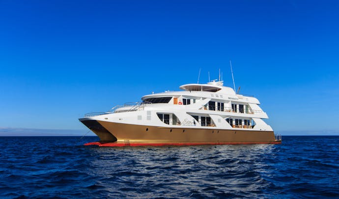 Elite Luxury Yacht | Luxury Yachts and Cruises in the Galapagos