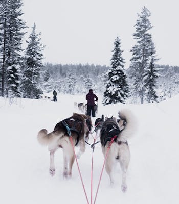 Luxury holiday to Finland in December
