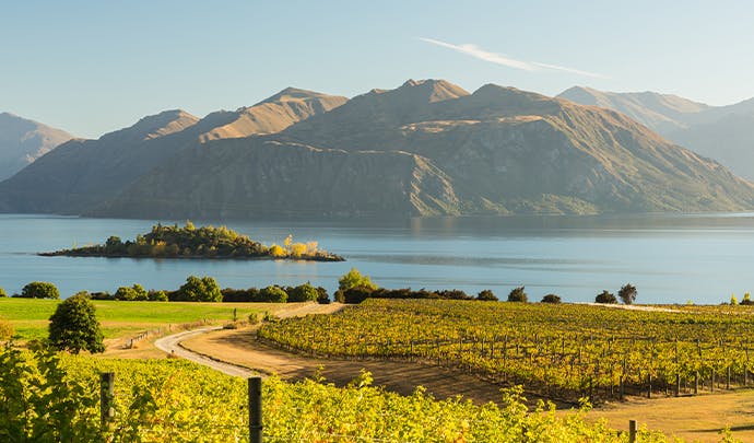 Where to go in December: a luxury New Zealand holiday