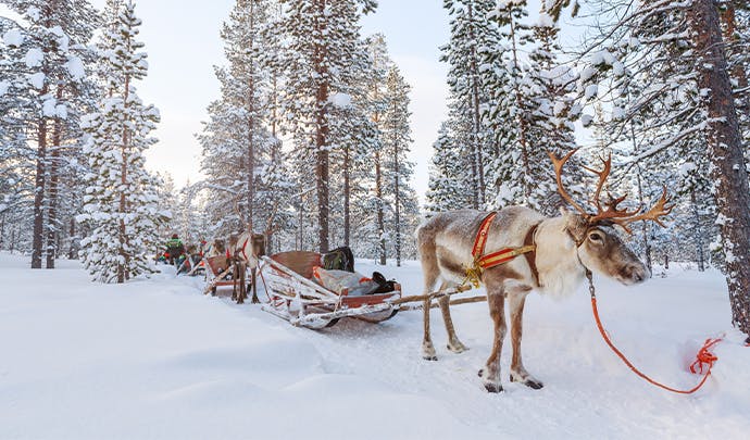 Where to go on holiday in February: Finland