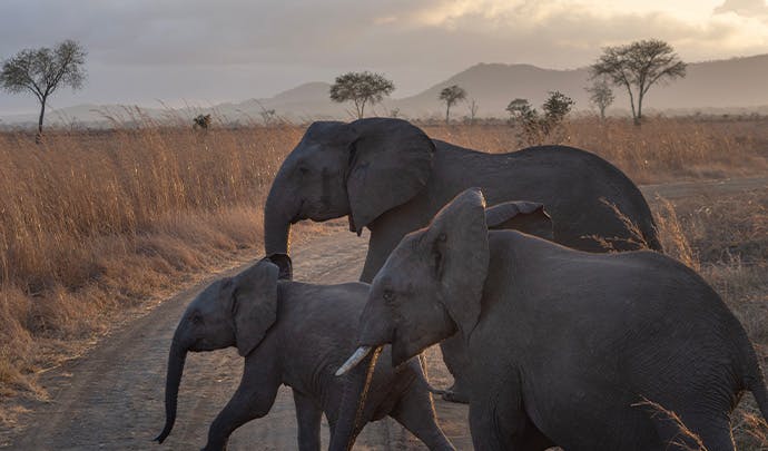 Where to go on vacation in July: Tanzania