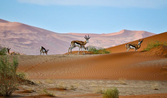 Where to go on holiday in August Namibia