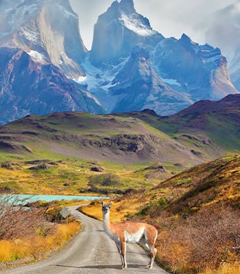 Where to go on holiday in January: Chile
