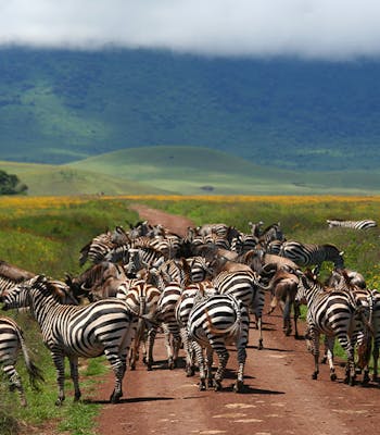 July vacation: Tanzania