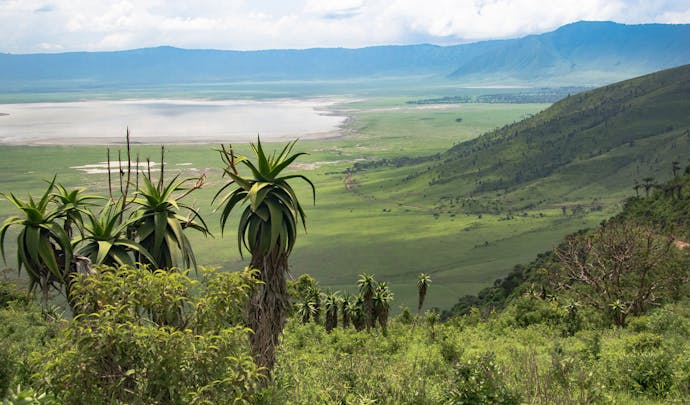 Ngorongo Crater, Tanzania