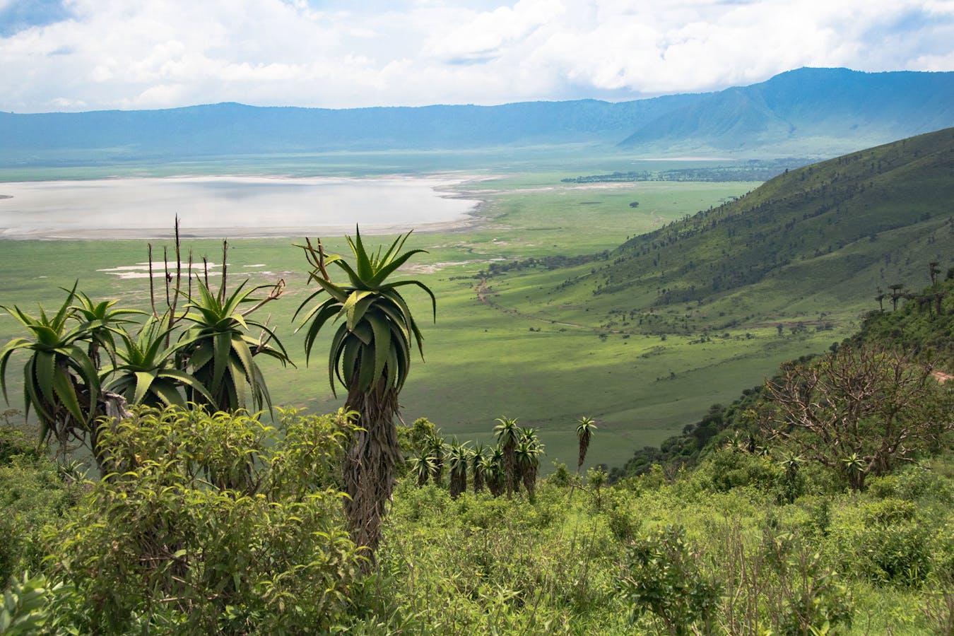 Ngorongo Crater, Tanzania