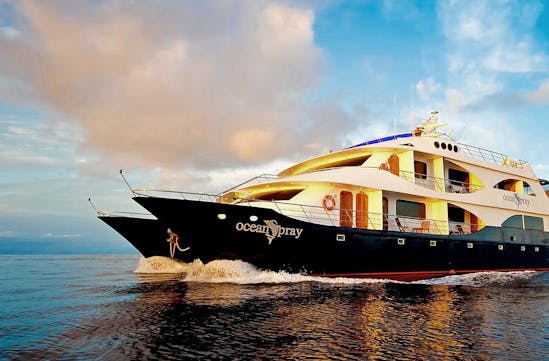 Ocean Spray Luxury Yacht | Luxury Cruises in the Galapagos