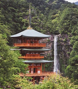 Pagoda in Japan surrounded by woodland