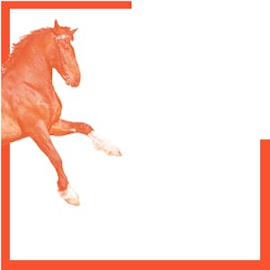 Horse Riding Thumbnail