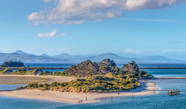 Explore the Otago Peninsula