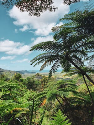 view over daintree rainforest, luxury holidays Australia
