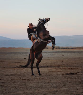 Cowboy horseback riding, luxury vacations