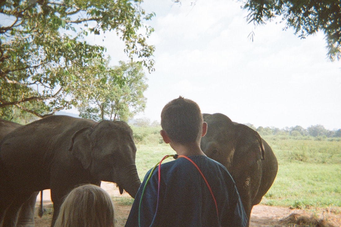 Thailand elephants experience