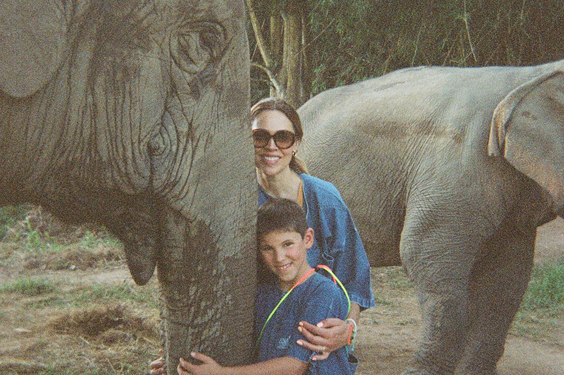 Thailand elephants experience