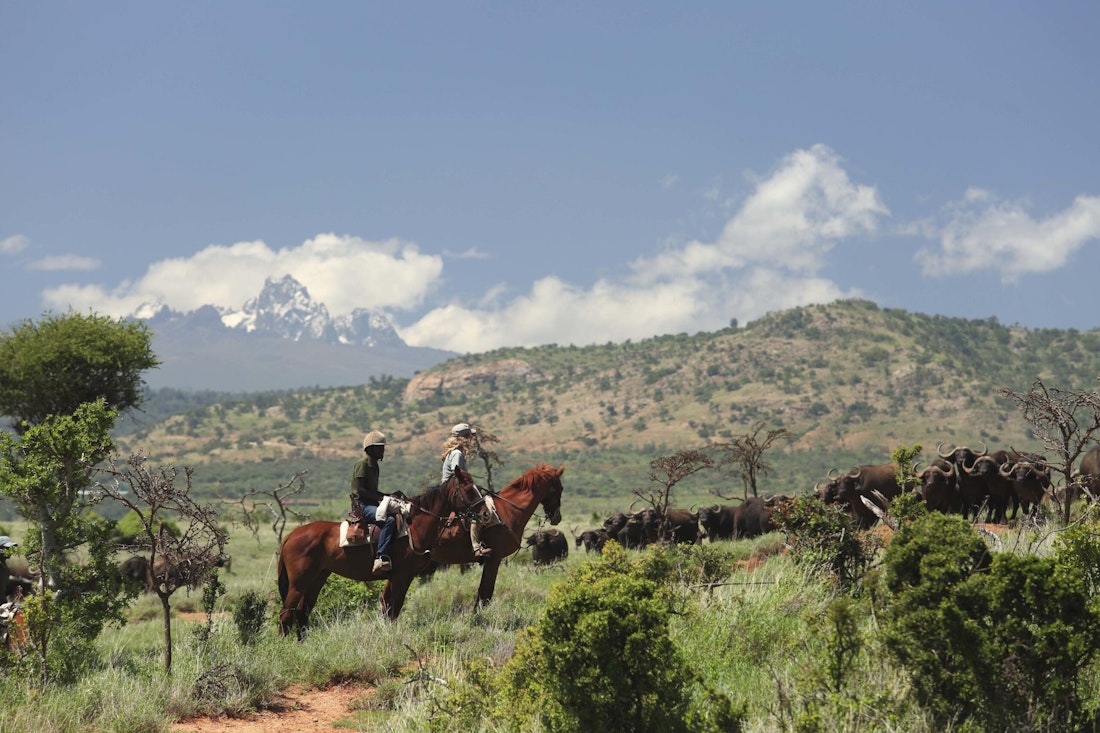 borana horseriding safari