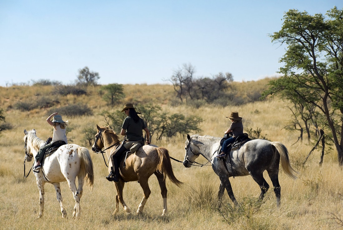 horseriding safari in south africa